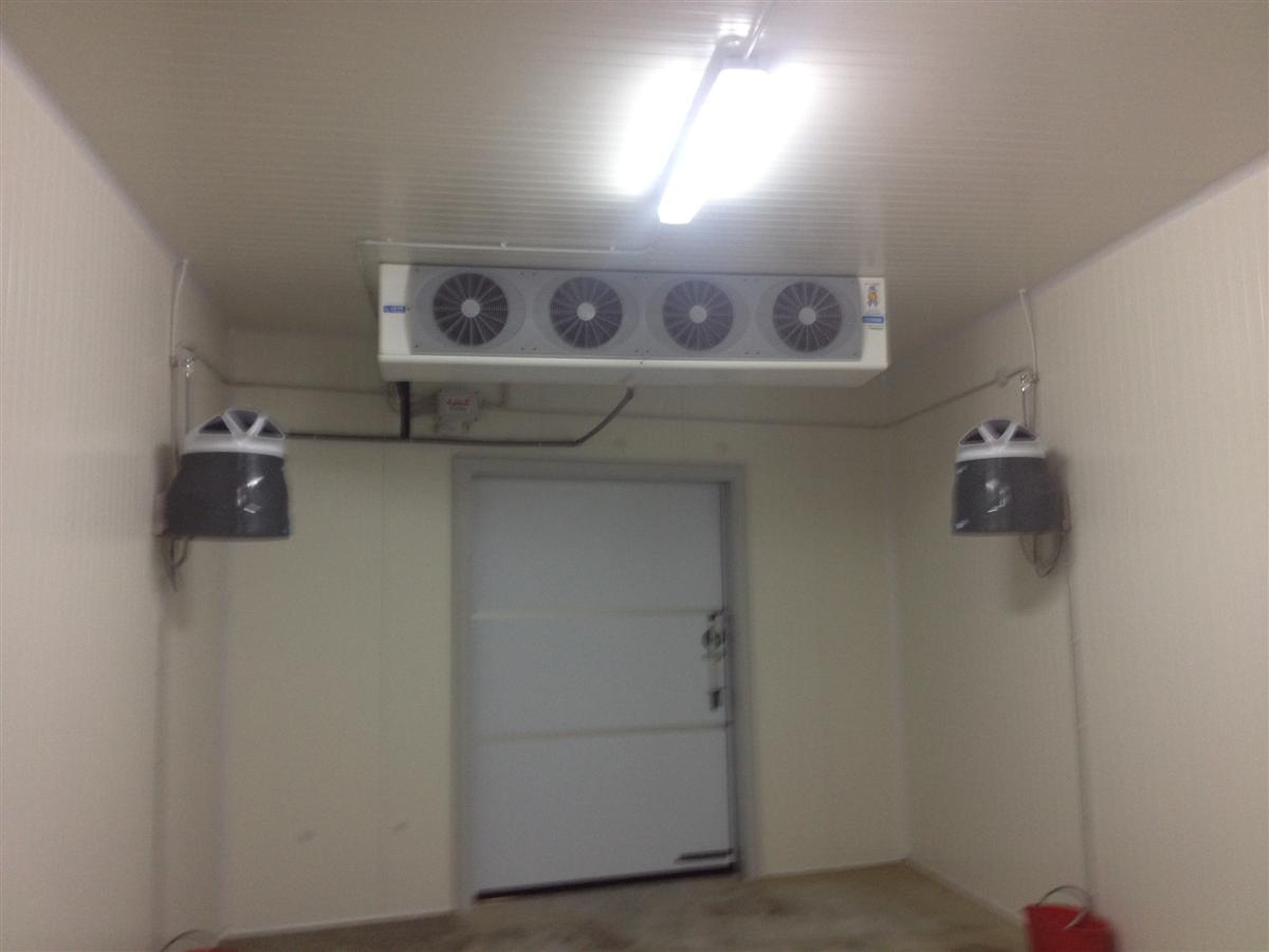 Cella di conservazione 06